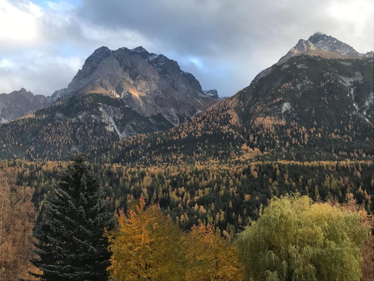 Aaa Allegra Rojo With Mountain View Scuol